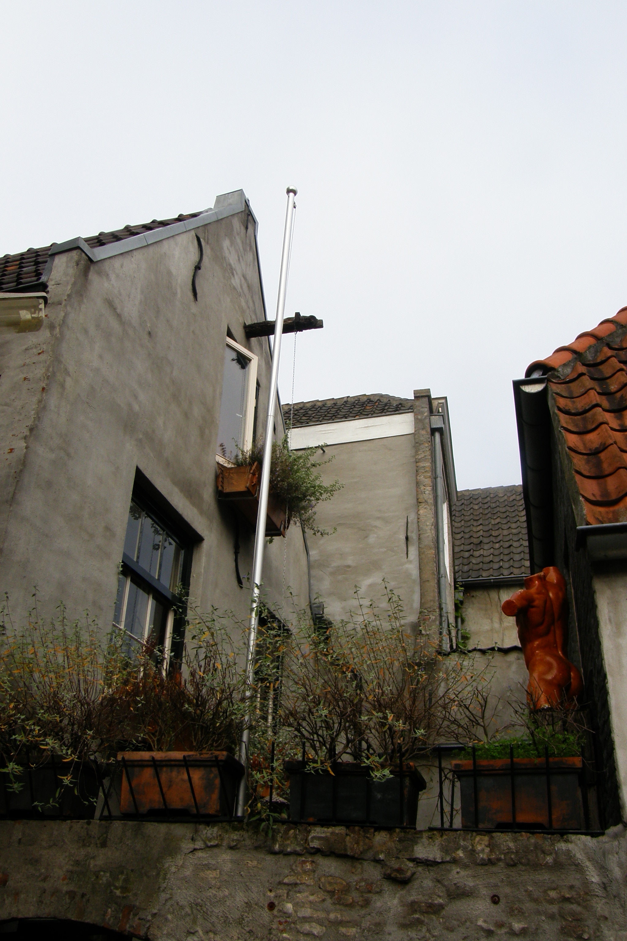 Dakreparatie Den Bosch